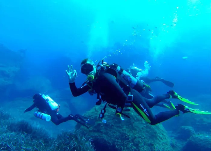 Trendy Retreat In Historic Valletta